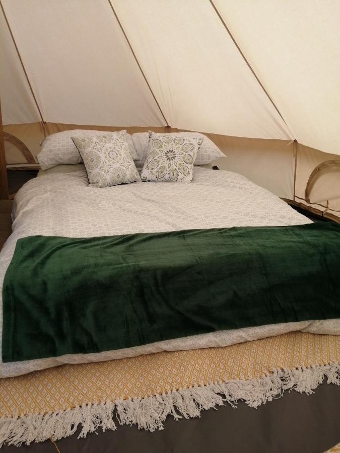 Ciliau-Aeron Coed Y Brenin Retreat - Bell Tent Glamping Near Aberaeron מראה חיצוני תמונה