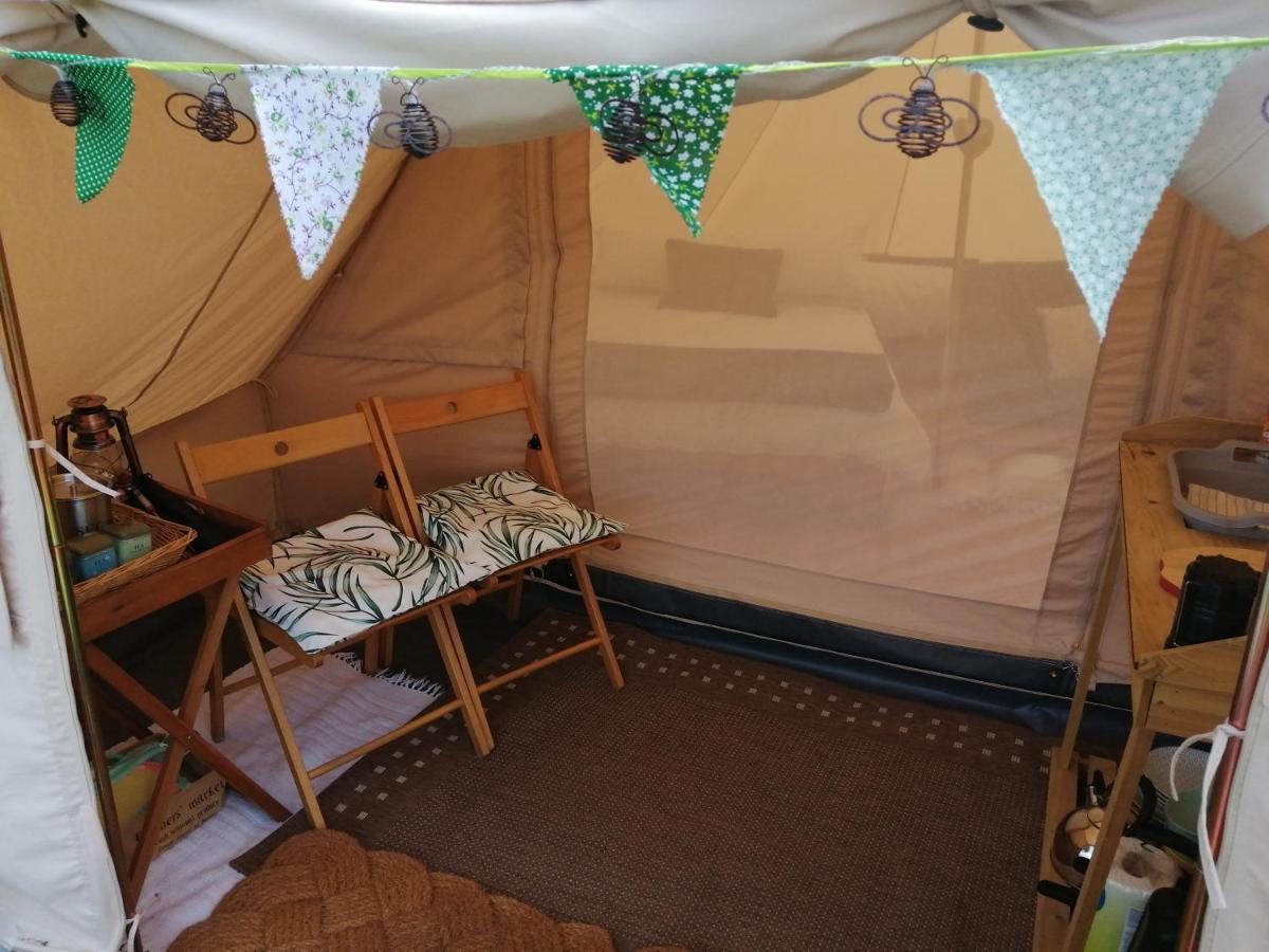 Ciliau-Aeron Coed Y Brenin Retreat - Bell Tent Glamping Near Aberaeron מראה חיצוני תמונה